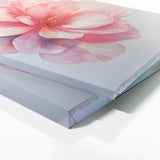 Begonia Whispering Floral Hues 6