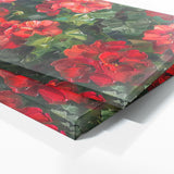 Geranium Vibrant Symphony 1