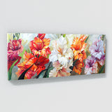 Gladiolu Vibrant Elegance 23