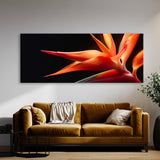 Heliconia Drama 18