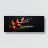 Heliconia Floral Spotlight 19