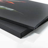 Heliconia Floral Spotlight 19