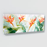 Heliconia Tropical Breeze Blooms 8