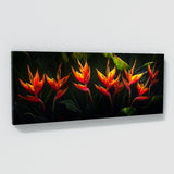 Heliconia Tropical Radiance 17