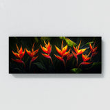 Heliconia Tropical Radiance 17