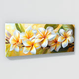 Plumeria Bold Contrast 32