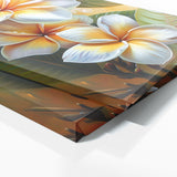 Plumeria Bold Contrast 32