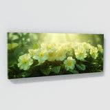 Primrose Dreamy Glow 70