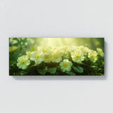 Primrose Dreamy Glow 70