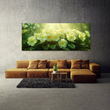 Primrose Dreamy Glow 70