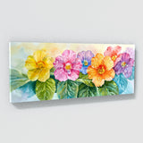 Primrose Morning Dew 59