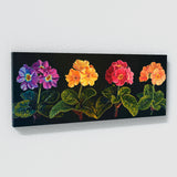 Primrose Neon Night Blooms 77