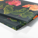 Primrose Neon Night Blooms 77