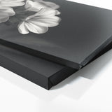 Primrose Noir Elegance Blossoms 73