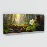 Primrose Sunlit Forest Bloom 50