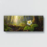 Primrose Sunlit Forest Bloom 50