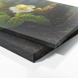 Primrose Sunlit Forest Bloom 50