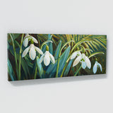 Snowdrop Serene 1