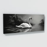 Swan Elegant Contrast 91