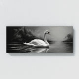 Swan Elegant Contrast 91