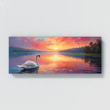 Swan Morning Light 44