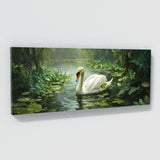 Swan Tranquil Pond 7