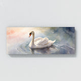 Swan Tranquil Ripples 24