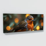 Robin Feathered Focus 79