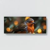 Robin Feathered Focus 79