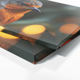 Robin Feathered Focus 79