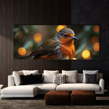 Robin Feathered Focus 79