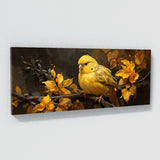 Canary Golden Harmony 2