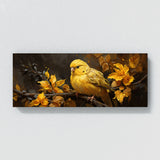 Canary Golden Harmony 2