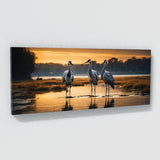 Crane Reflective Elegance 78