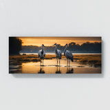 Crane Reflective Elegance 78