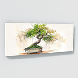 Bonsai Tree Whispering 7