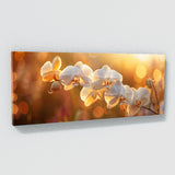 Orchids Twilight Glow 21