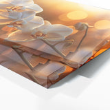 Orchids Twilight Glow 21