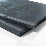 Pine Tree Silvery Shadows 79