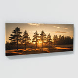 Pine Tree Sunset Pine Shadows 66