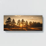 Pine Tree Sunset Pine Shadows 66