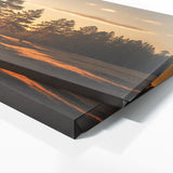 Pine Tree Sunset Pine Shadows 66