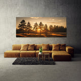 Pine Tree Sunset Pine Shadows 66