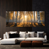 Birch Tree Birch Light Symphony 78