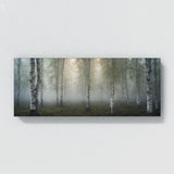 Birch Tree Enchanted Misty Birch 65