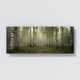 Birch Tree Mystic Birch Pathway 75