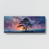 Cypress Tree Enchanted Dusk 52