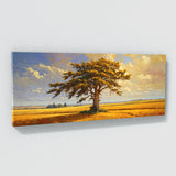 Cypress Tree Golden 49