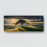 Cypress Tree Majestic Hills 73