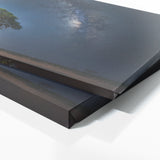 Baobab Tree Celestial Baobab 66